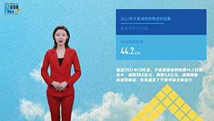 AI播报|2021年宁夏减税降费成效显著