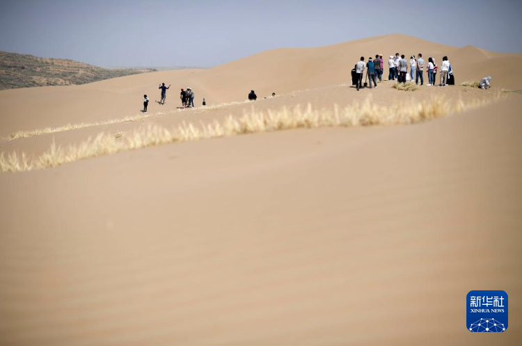 多国留学生亲临沙漠感受中国治沙成