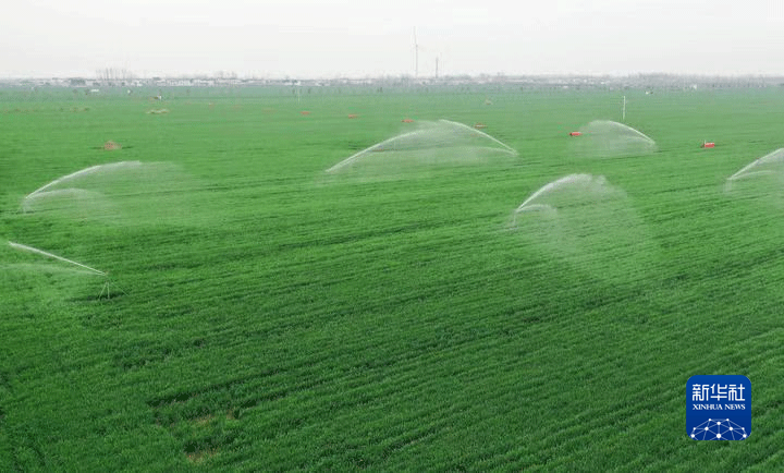 宁夏：打造高效节灌工程 助力农业提质增效