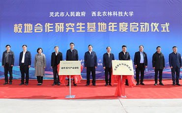 靈武市：政産學研協同助力奶産業高品質發展